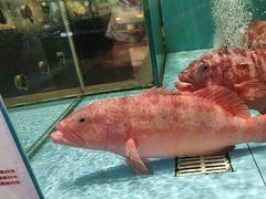 -阿伟海鲜楼·福建菜(延寿店)