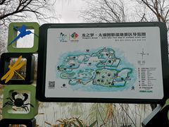 -长兴太湖图影湿地文化园