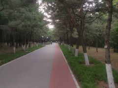 -云岗森林公园