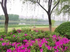 -滨湖塘西河公园