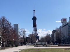 -大通公园