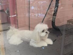 -FAELING PETS美天灵宠物(合生汇店)