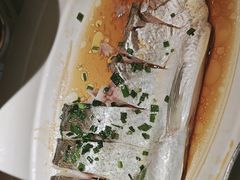 -松沪名灶·豆浆鱼头·新上海菜(飞航吾悦广场店)