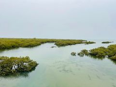 -北海金海湾红树林生态旅游区
