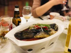 -新龙船黄浦江餐饮游船官方自营店