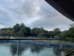 -天津湾西餐厅(三亚海棠湾洲际度假酒店)