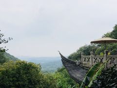 -韬光茶庵