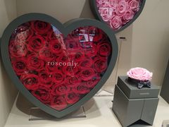 -ROSEONLY诺誓(沈阳万象城店)