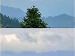 -龙脊梯田