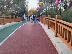 -羊亭河湿地公园