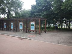 -莲花池公园