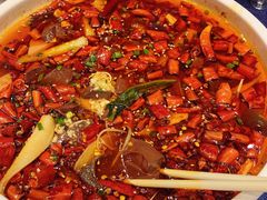 牛市口毛血旺-院8里·小乐园家常味川菜(鹭洲里店)