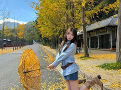 -洛阳白云山景区