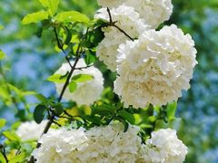 -大龙山(地铁站)