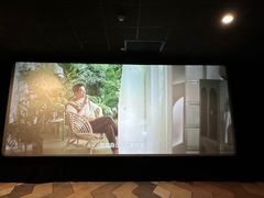 -SFC上影百联影城(八佰伴IMAX店)