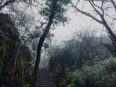 -山王坪喀斯特国家生态公园