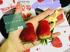 -7fresh七鲜(大族广场店)
