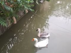 -润记农家菜