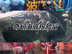 -哈尔滨波塞冬海底世界