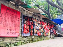 -南山植物园