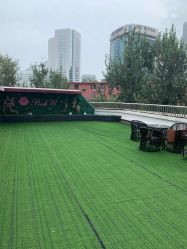 -Pink You美甲美睫纹绣定制中心