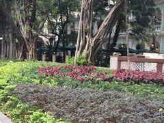 -星巴克臻选(广州沙面店)