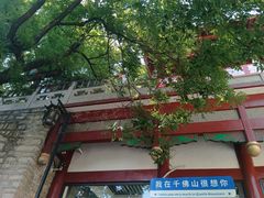 -千佛山风景名胜区