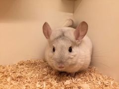 -龙猫仔乐园(惠福东路店)