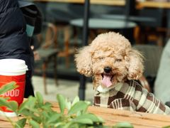 -星巴克(成都科学城店)