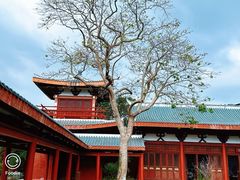 -莆田南少林寺