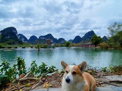 -靖西鹅泉风景区