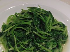 -金枝玉叶上海人家食府(三里河店)