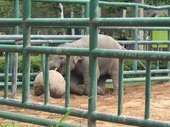 -秦皇岛野生动物园