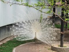 -成都动物园