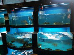 水产区-桐庐土菜馆·传承经典土菜