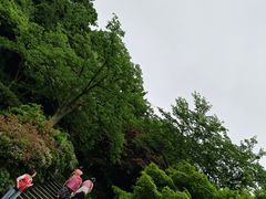 -汉拿树木园