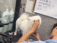 -宠物家(长阳店)