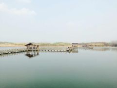 -溱湖国家湿地公园