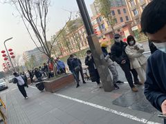 -邓氏兔头