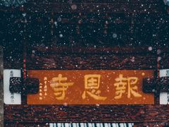 -北寺塔