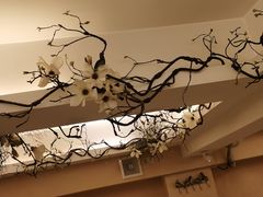 -耳艺采耳·足疗·按摩SPA(市桥店)