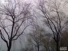 -杭州西湖桔子水晶酒店
