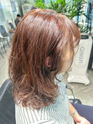 -Will+ Hair Studio