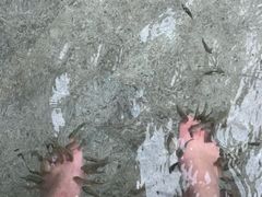 -碧水湾温泉