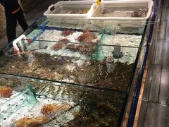 水产区-马路边上·小海鲜烧烤(八一路店)