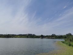 -东郊湿地公园