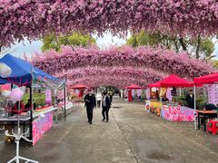 -南汇桃花村