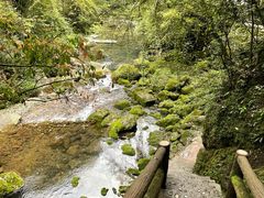 -青城山