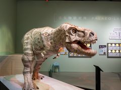 -香港科学馆