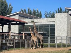 -石家庄市动物园